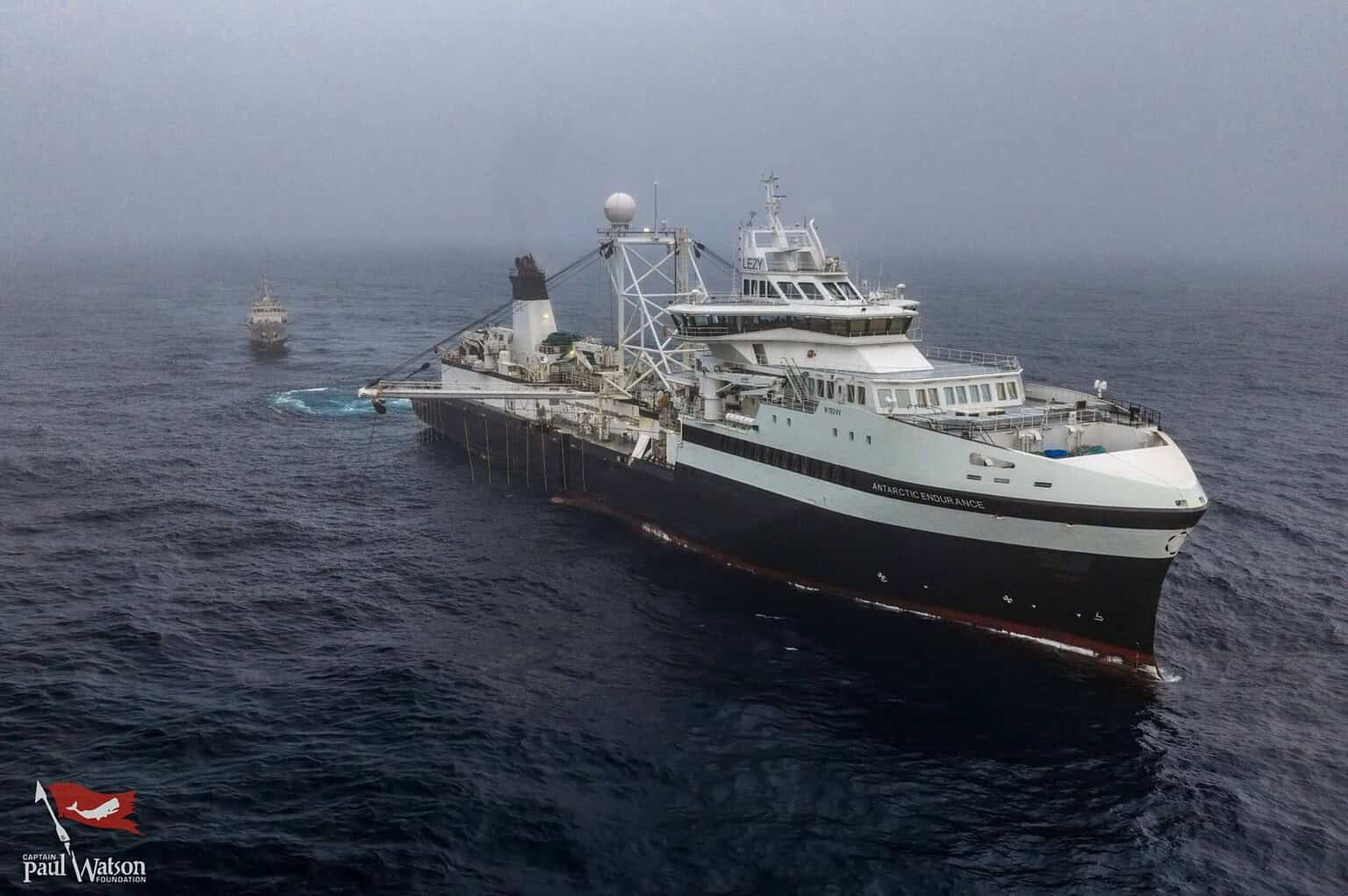 The Paul Watson Foundation anti-whaling ship Bandero intercepted by Icelandic authorities at sea.